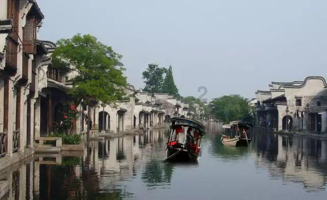 精准问答网站-姓朱能养富贵竹吗？-快速解答您的问题